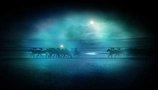 Image result for Horse Racing Decals