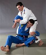 Image result for Jiu Jitsu Pose