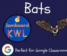 Image result for Bat KWL Chart