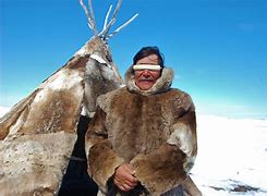 Image result for Inuit Ecology