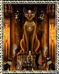 Image result for Egyptian Cat Meme