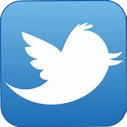 Image result for Twitter.com Logo