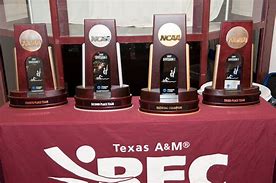 Image result for NCAA Wrestling Championship Trophy