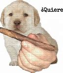 Image result for Quieres PNG