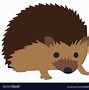 Image result for Hedgehog Square Face Cartoon