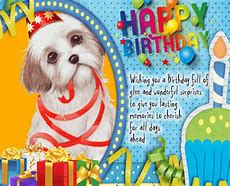 Image result for Funny Female Birthday Cards