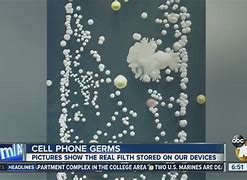 Image result for Cell Phone Germs