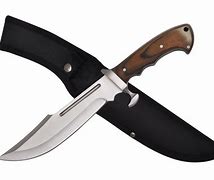 Image result for Bowie Hunting Knife