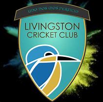 Image result for Slogan for Mini Cricket