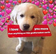 Image result for Reaction Memes Wholesome