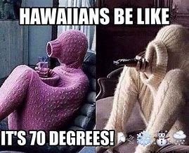 Image result for 65 Degrees in Hawaii Meme