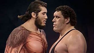 Image result for Andre Giant