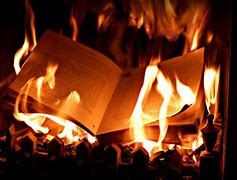 Image result for book burning