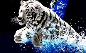 Image result for Cool Animal Animations