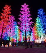 Image result for Rainbow Light That Glow