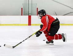 Image result for Types of Hockey