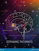 Image result for Dopamine in Your Brain