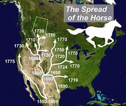 Image result for Ancient American Horse