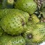 Image result for soursop