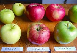 Image result for UK Dessert Apple Varieties