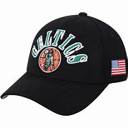 Image result for Celtics Snapback Hat