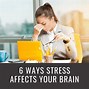 Image result for Brain Under Stress