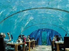 Image result for Bora Bora Underwater Hotel