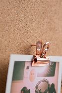 Image result for Push Pin Bulldog Clips