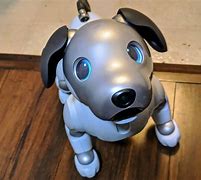 Image result for Aibo Tail