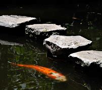 Image result for Garden Stepping Stones