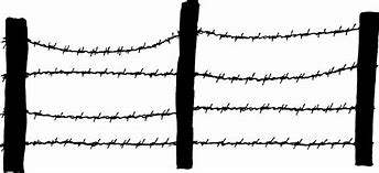 Image result for Barb Wire Fence PNG