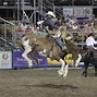 Image result for Days of 47 Rodeo