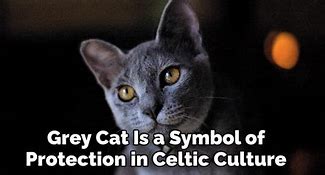 Image result for Cat Symbolism