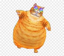 Image result for Fat Orange Tabby Cat Meme