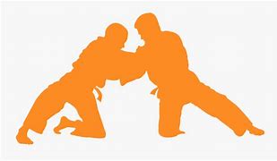 Image result for Brazilian Jiu Jitsu Near Me