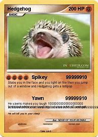 Image result for Is There a Hedgehog Pokemon