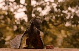 Image result for dragon baby
