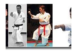 Image result for Kata 4 Karate