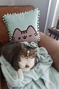Image result for Pusheen Cat Real Life