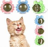 Image result for Catnip Wall Ball