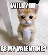 Image result for Will You Be My Valentine Meme