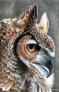 Image result for Hyper Realistic Animal Drawings