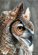 Image result for Colored Pencil Animal Portraits
