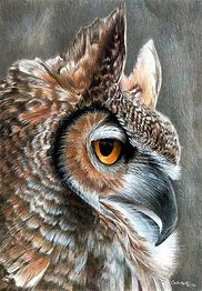 Image result for Amazing Animal Drawings in Pencil