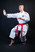 Image result for Taekwondo Equipment