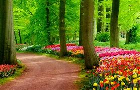 Image result for Beautiful Wallpapers 2018