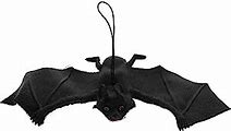 Image result for Hanging Rubber Bats