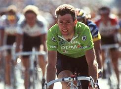 Image result for Sean Kelly Actor Now