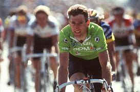 Image result for Sean Kelly RI
