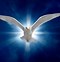 Image result for Holy Spirit Dove Symbol Free